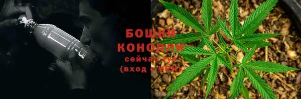 гидра Надым