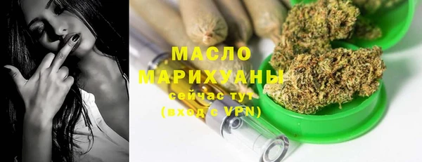 гидра Надым