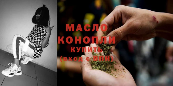 гидра Надым