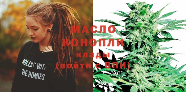 гидра Надым