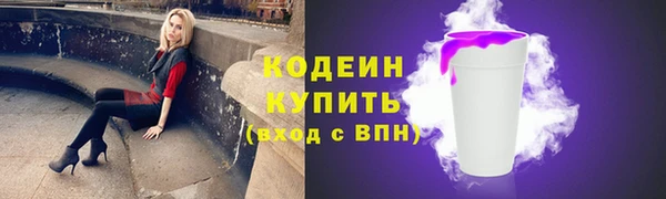 гидра Надым