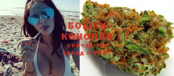 индика Навашино