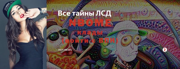 гидра Надым