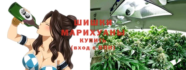 индика Навашино