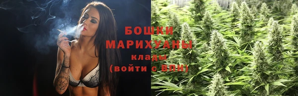 индика Навашино