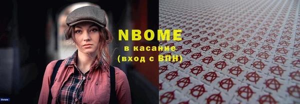 гидра Надым