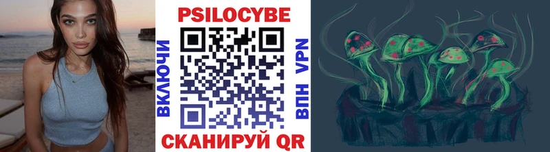 Галлюциногенные грибы Psilocybine cubensis  Купить где  Острогожск 